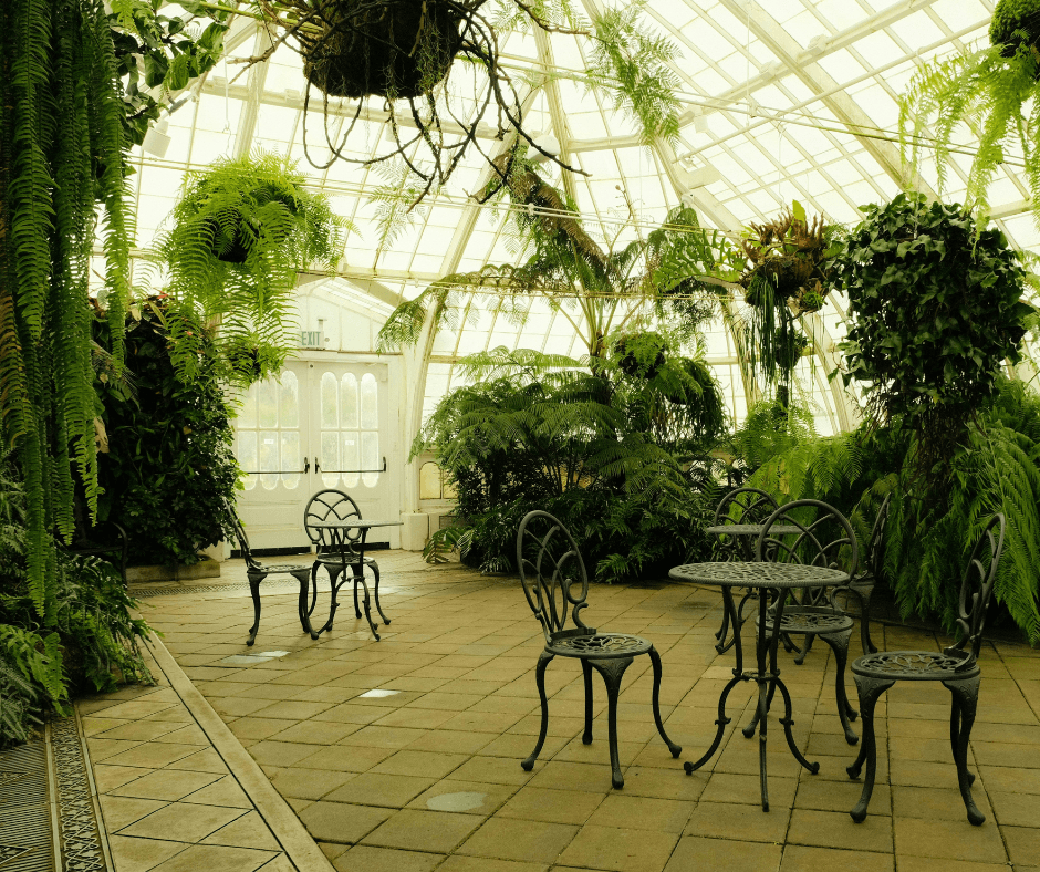 An image of a greenhouse from Canva. It's a lush photo with pretty patio furniture scattered among what seems to be paved or tiled ground.