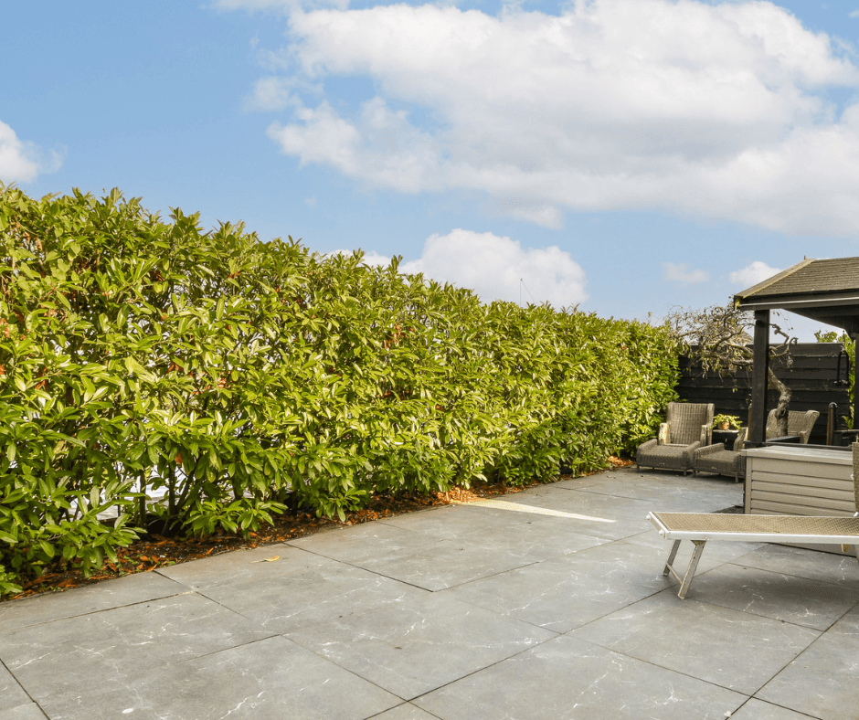 A picture from Canva of a patio under a blue sky. There is a big hedge to the left and outdoor furniture to the right.